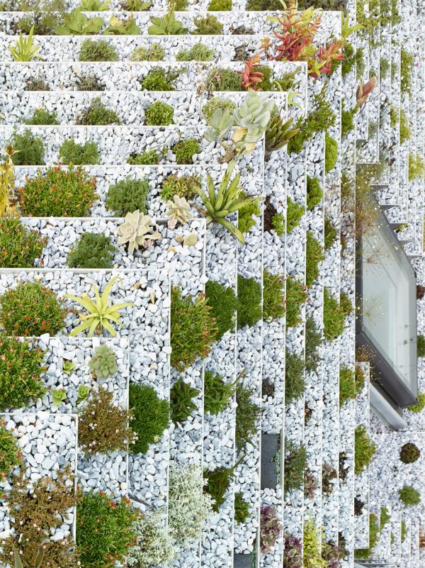Garden House by Hayhurst and Co