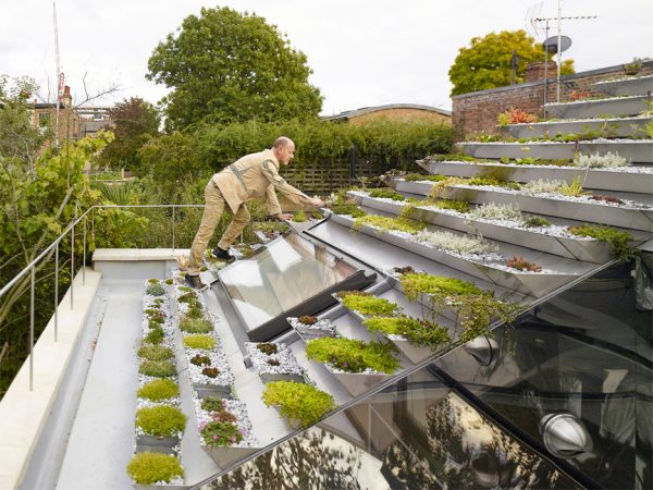 Garden House by Hayhurst and Co