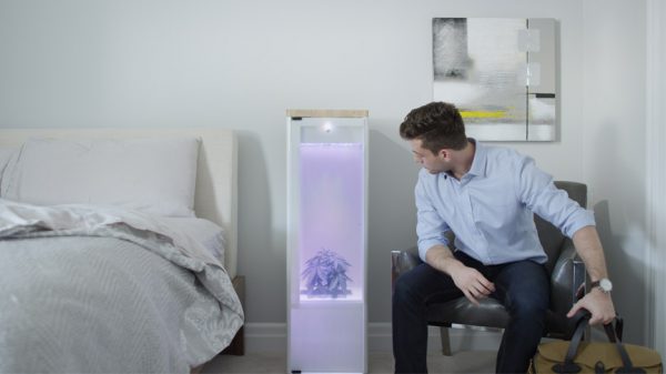 Grobo designs app-controlled indoor gardening system