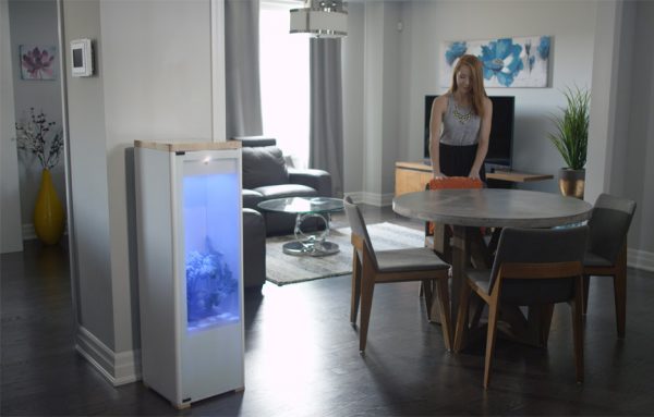 Grobo designs app-controlled indoor gardening system