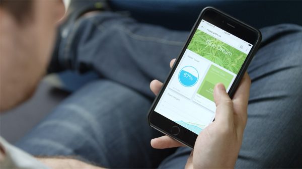 Grobo designs app-controlled indoor gardening system