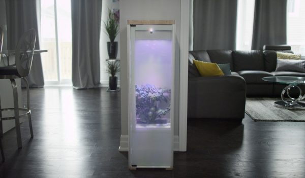 Grobo designs app-controlled indoor gardening system