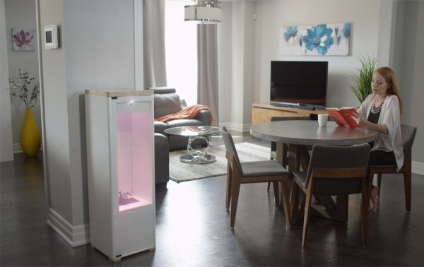 Grobo designs app-controlled indoor gardening system