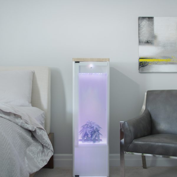 Grobo designs app-controlled indoor gardening system