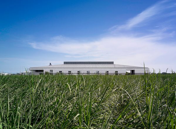 MAG Headquarters by Cure and Penabad