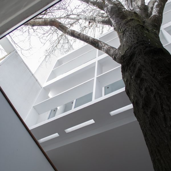 Le Corbusier designed Maison Curutchet for an Argentinian surgeon