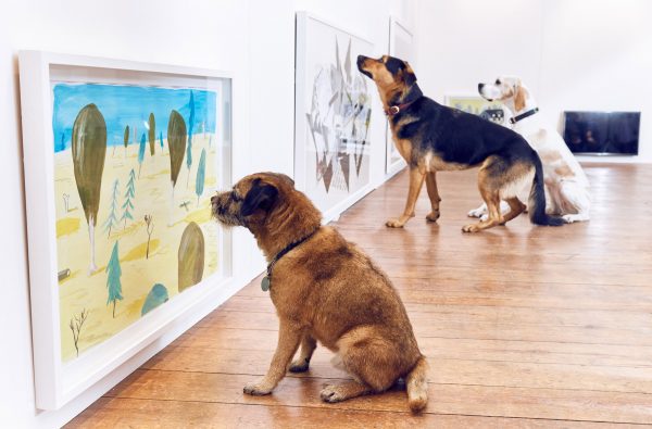 Play More dog exhibition by Dominic Wilcox and More Than