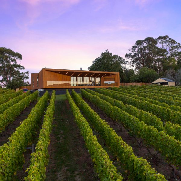 Red Hill Residence by Finnis Architects has a funnel-shaped deck overlooking a winery