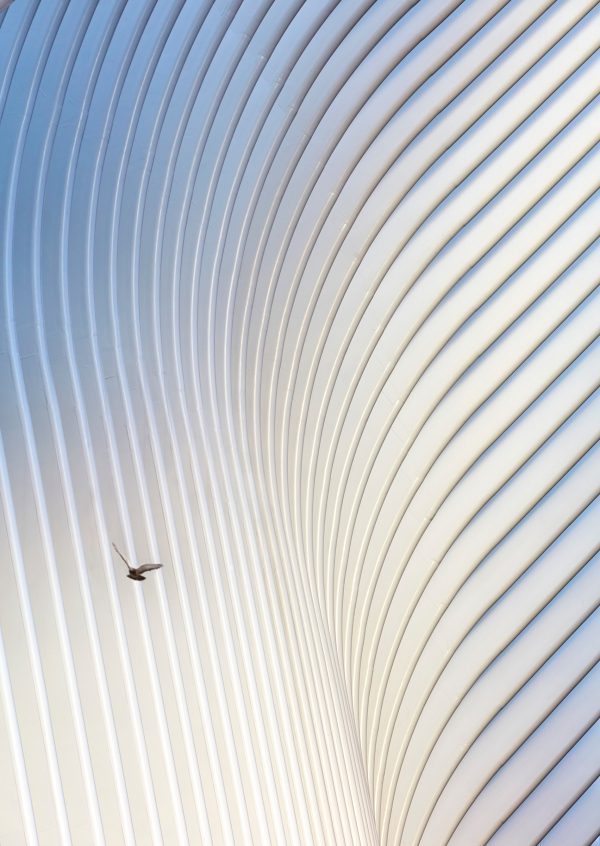 World Trade Center Transportation Hub Oculus by Santiago Calatrava