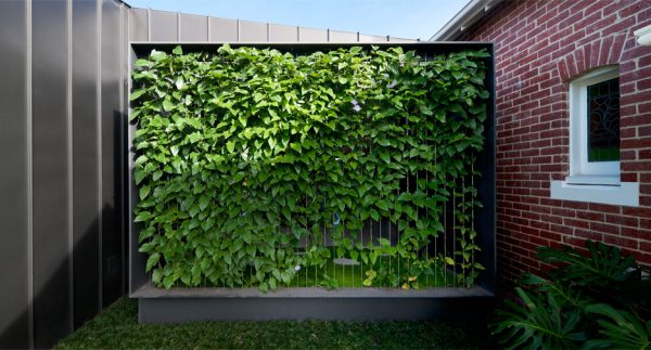 Matt Gibson's Shadow House extension stands in the shade of an Edwardian home