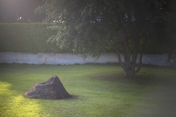 Terra grass chair by Nucleo