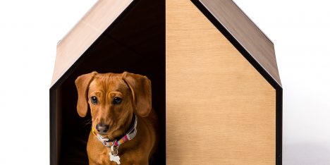 The Dog Room by Made by Pen