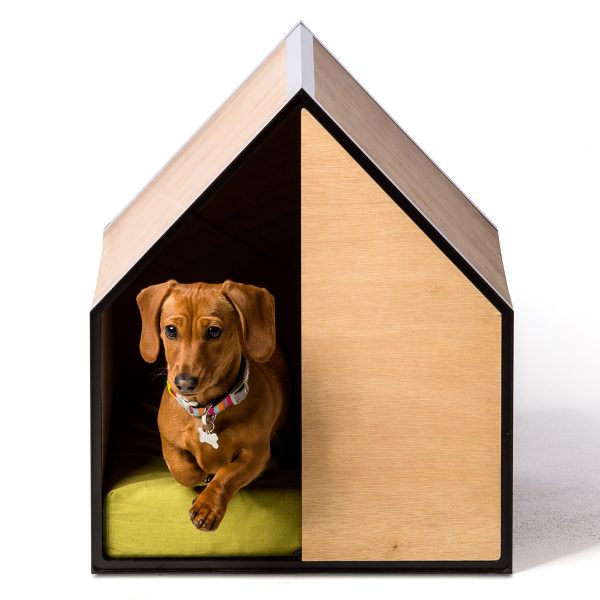 The Dog Room by Made by Pen