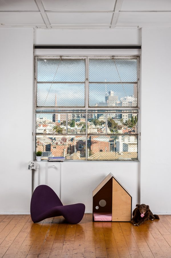 The Dog Room by Made by Pen