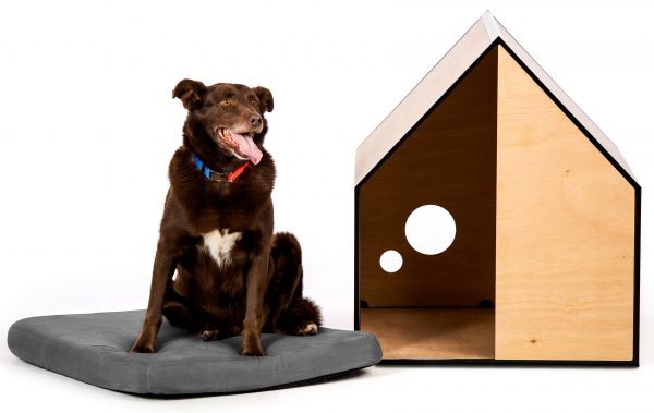 The Dog Room by Made by Pen
