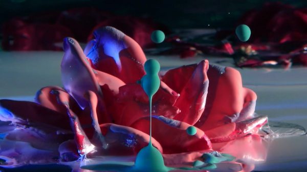 Yuma music video by Kamiel Rongen