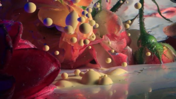 Yuma music video by Kamiel Rongen