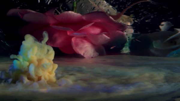 Yuma music video by Kamiel Rongen