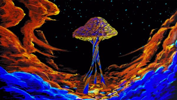Wind guides woman through "a dream like environment" in Doe Paoro music video