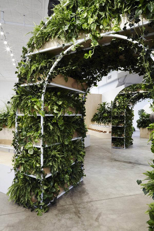 Everlane Shoe Park by Robert Storey