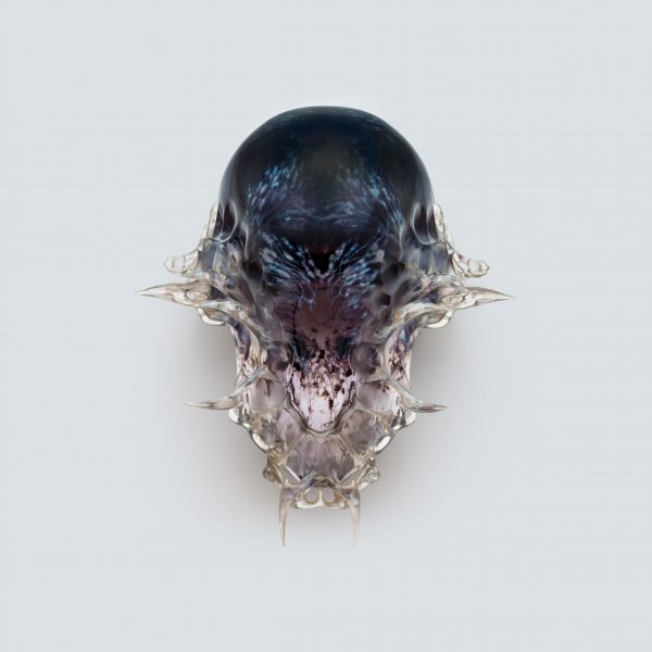 Fear and Love exhibition