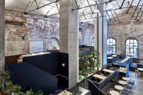 Higher Ground by Design Office