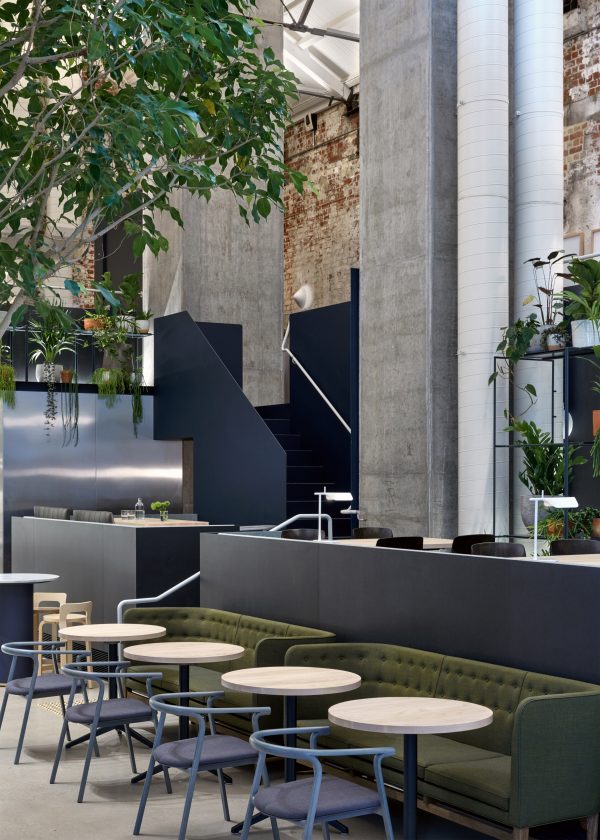 Higher Ground by Design Office