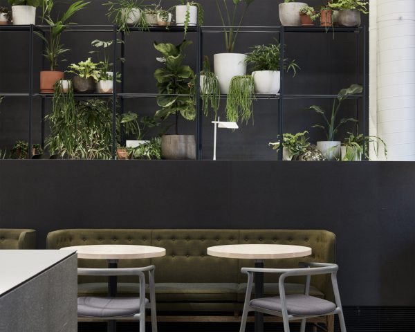 Higher Ground by Design Office