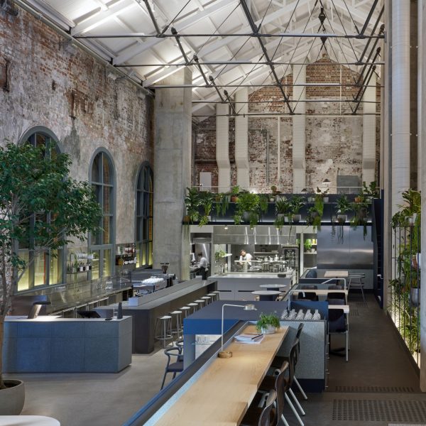 Higher Ground by Design Office