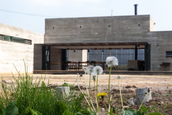 Korean Dandelion Farm by Archihood WXY