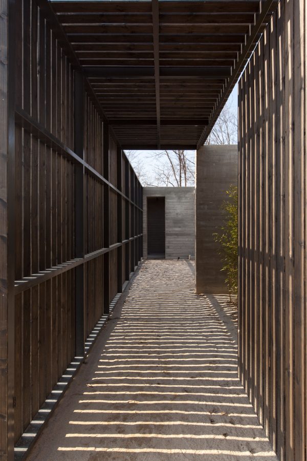 Korean Dandelion Farm by Archihood WXY
