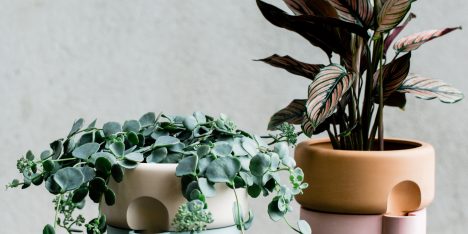 Rolla by Ann Kristin Einarsen from 100% Norway