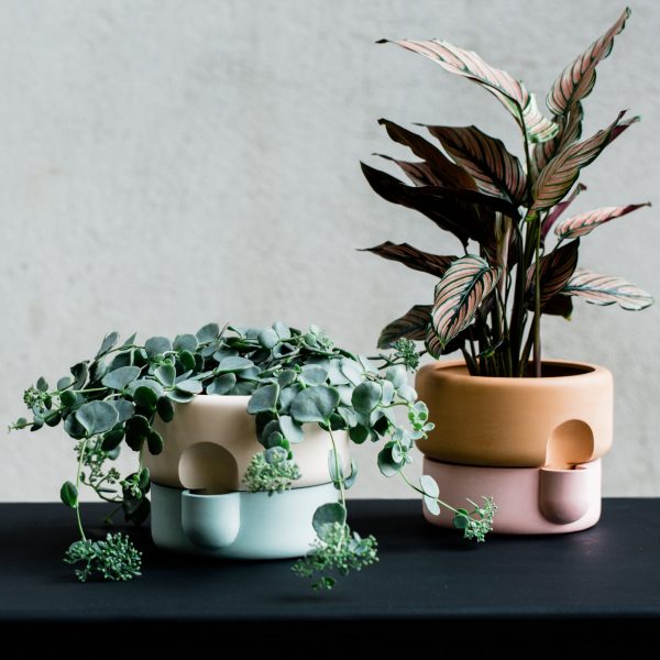 Rolla by Ann Kristin Einarsen from 100% Norway