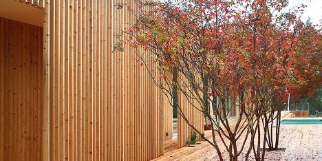 Meadow House by Office Mian Ye