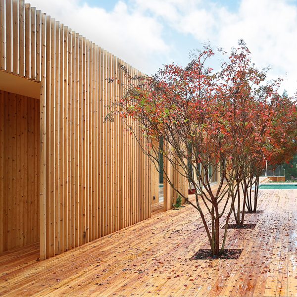 Meadow House by Office Mian Ye