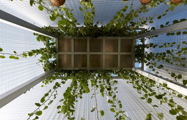 Forests installation by Asif Khan for MINI