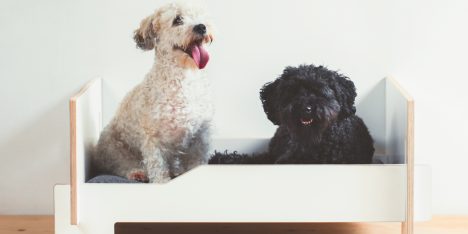 Kläffer dog bed by Nils Holger Moormann GmbH