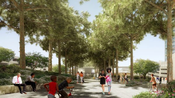 Buckhead Park by Rogers Partners