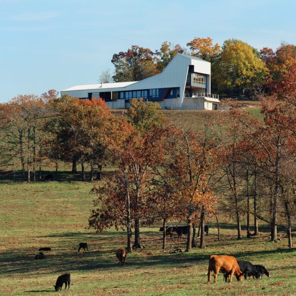 Round Mountain House by deMx Architecture