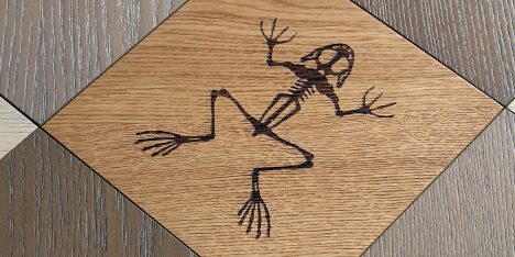 Studio Job engraves fossils in flooring for first parquet collection