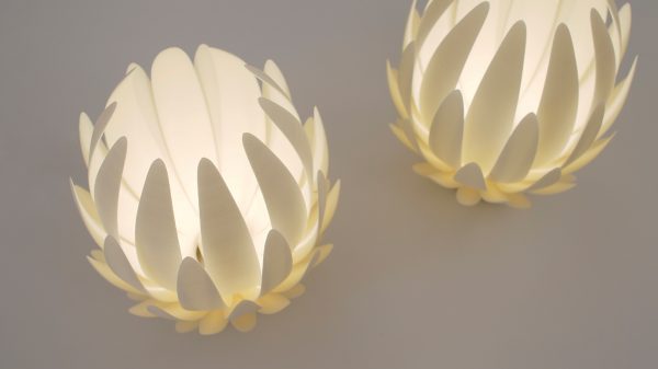 Lily light by Janne Kyttanen