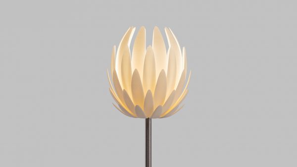 Lily light by Janne Kyttanen