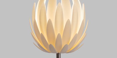 Lily light by Janne Kyttanen