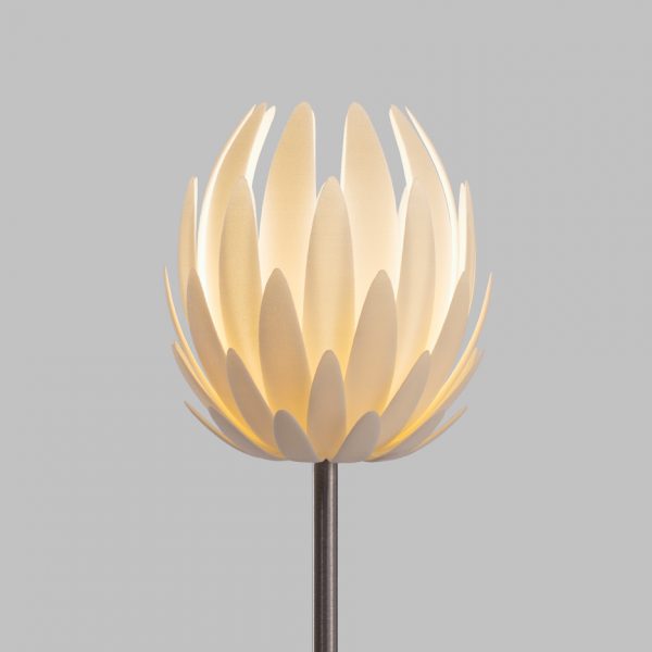 Lily light by Janne Kyttanen