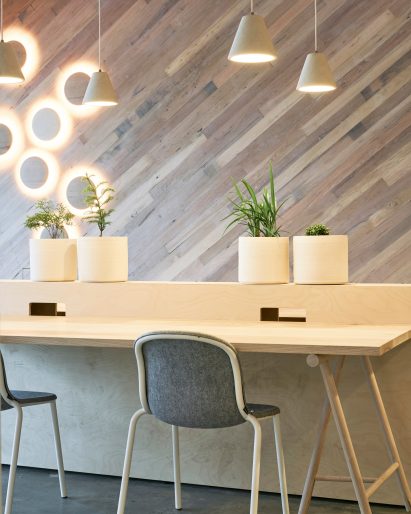 330-park-street-hip-v-hype-melbourne_dezeen_2364_col_2