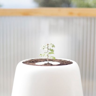 Eight of the best coffins and urns on Dezeen