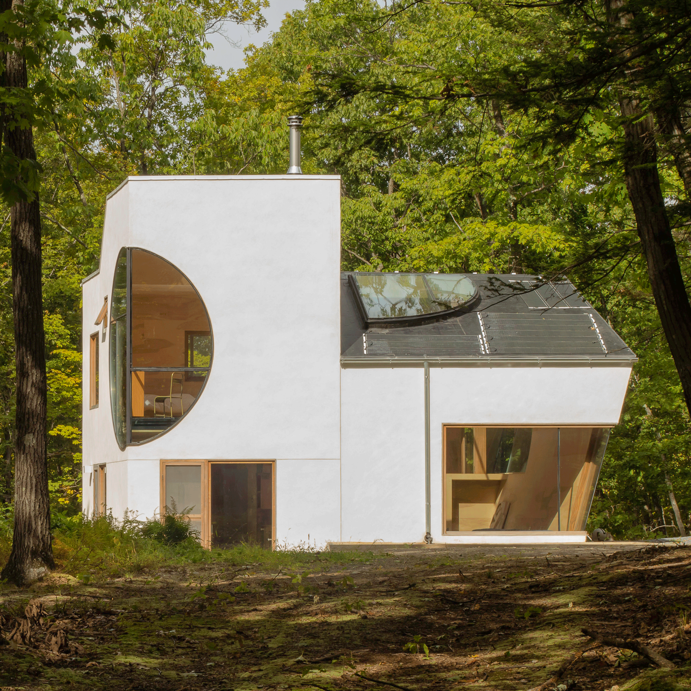 Ex of In House by Steven Holl