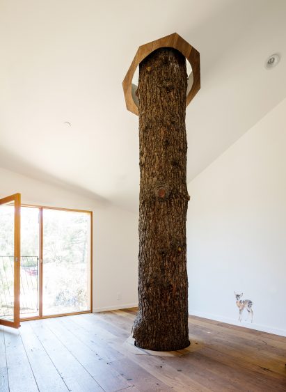 House in Trees by Anonymous Architects