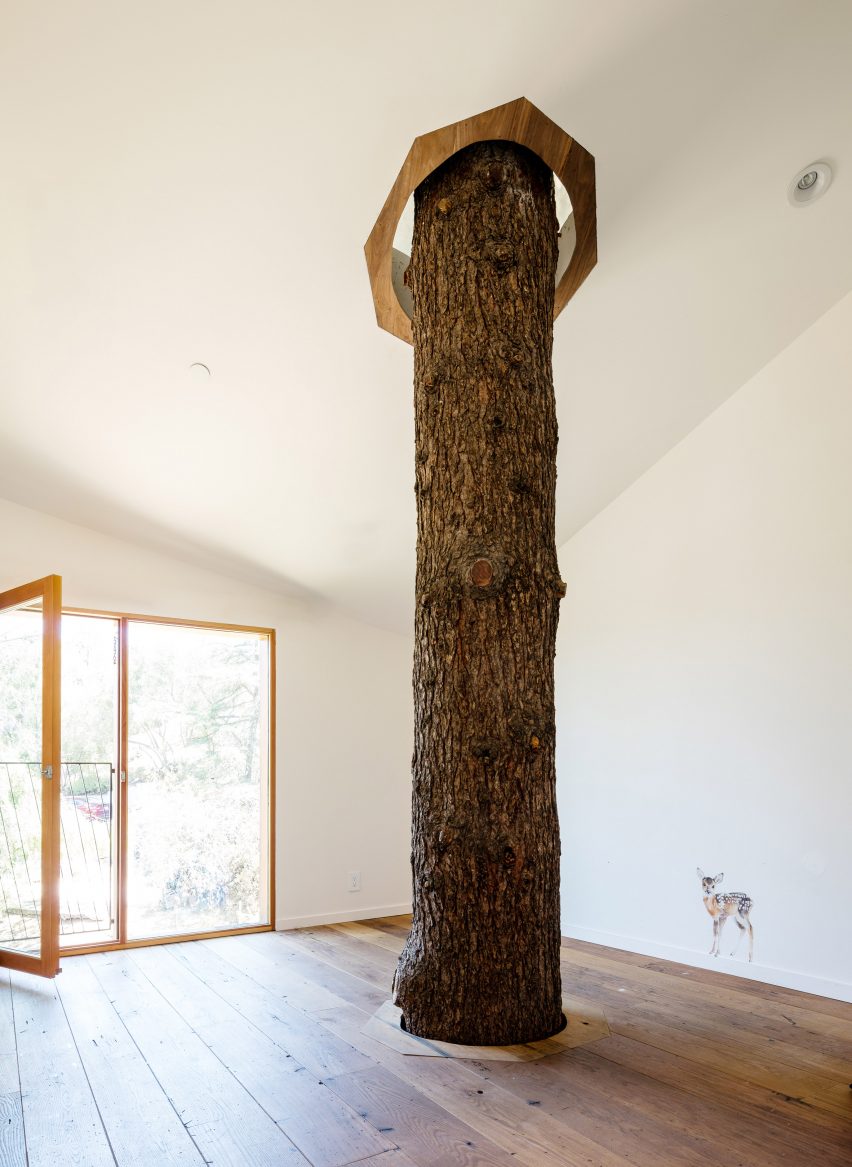 House in Trees by Anonymous Architects