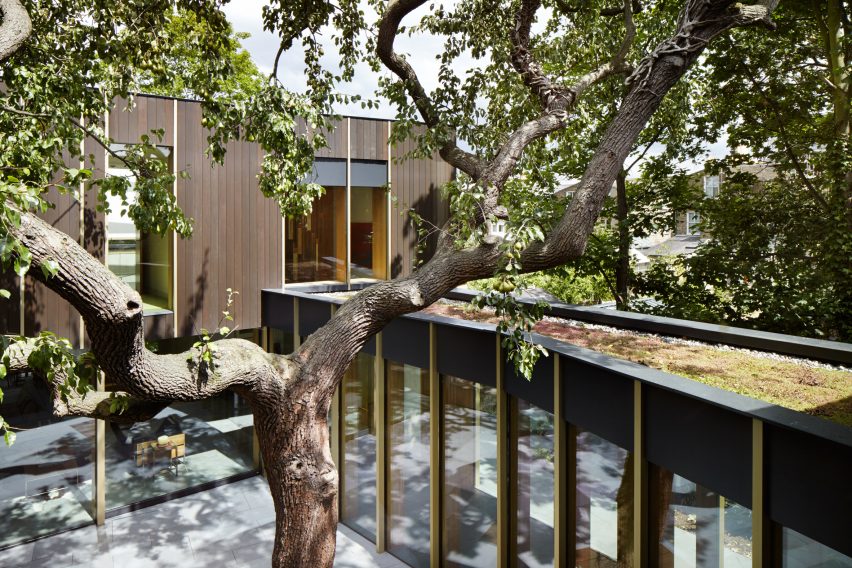 Pear Tree House by Edgley Design